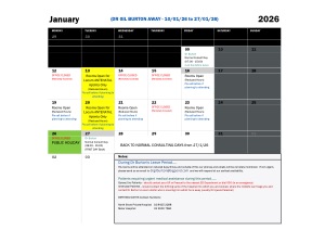 Dr Burton Leave Calendar